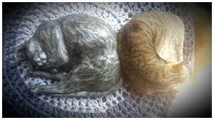 Beloved cat remembered